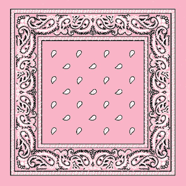 pink bandanas paisley