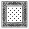 White Bandanas paisley