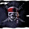 Worlds first full colour Pirate Flag