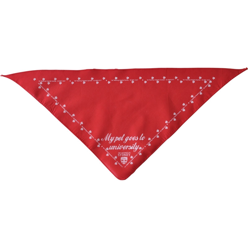 CUSTOM PRINTED PET TRIANGLE BANDANAS scarf for humans and pet best