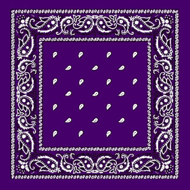 Purple ONLY Paisley Pattern Bandana 