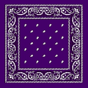 Purple bandanas paisley